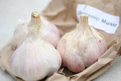 Organic Large White Music Variety Garlic Bag